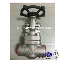 F316 Sw / NPT Torventil 150lb-800lb